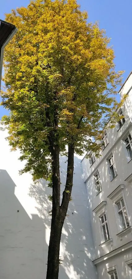 كراكوفيا Kyhash Kazimierz Apartments Starowislna 36